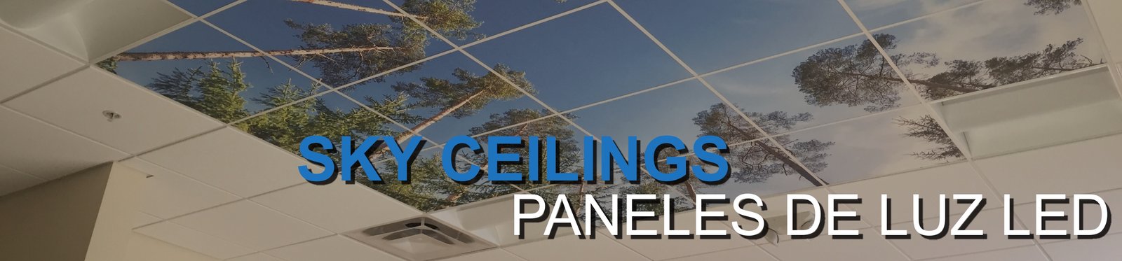 Plafones Sky Ceilings